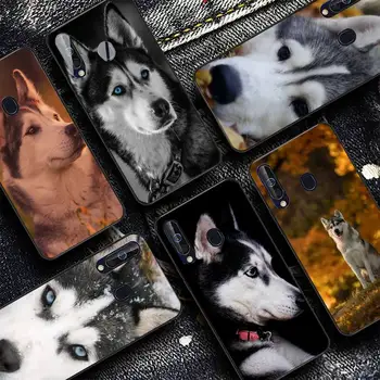 Yinuoda Animal Caine Husky Puppy Caz de Telefon pentru Samsung A51 01 50 71 21S 70 31 40 30 10 20 S E 11 91 A7 A8 2018
