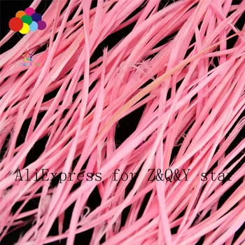 50-200 gâscă monofilament pana la 15-20CM vopsit roz DIY meșteșug accesorii din pene